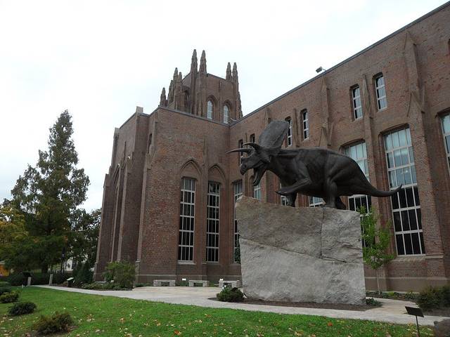 耶鲁大学皮博迪自然史博物馆