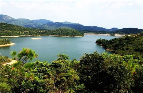 聚龙山生态公园