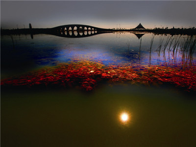 垦利民丰湖风景区