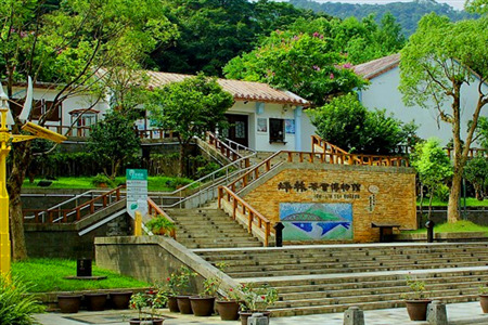 坪林茶业博物馆