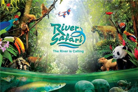 河川动物园