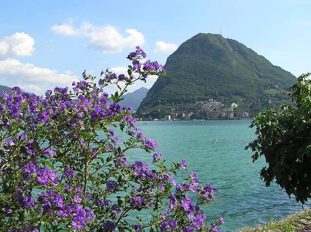 圣萨尔瓦托雷山