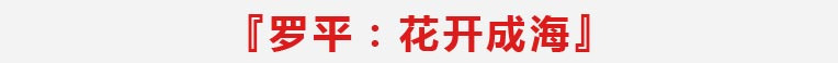 罗平