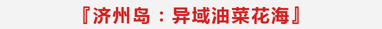 济州岛