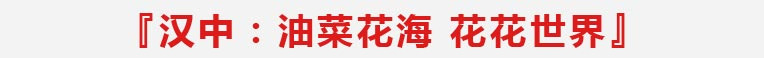 汉中