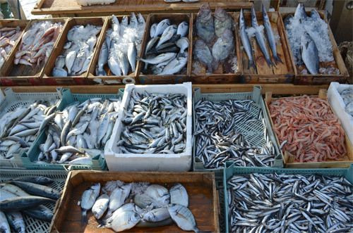 Meyhane Deniz Feneri