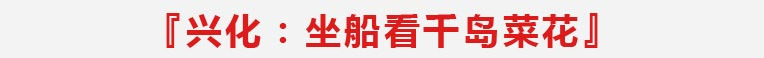 兴化