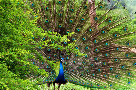 乌达瓦勒韦国家公园