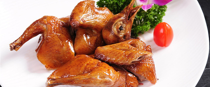 南粤光明乳鸽加盟