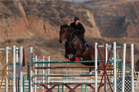 奔腾年代马术俱乐部