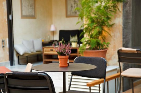 The Black Duck Garden