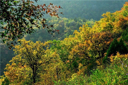 九吾山国家森林公园