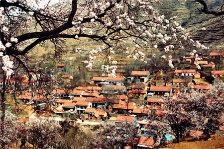 杏花村风景区