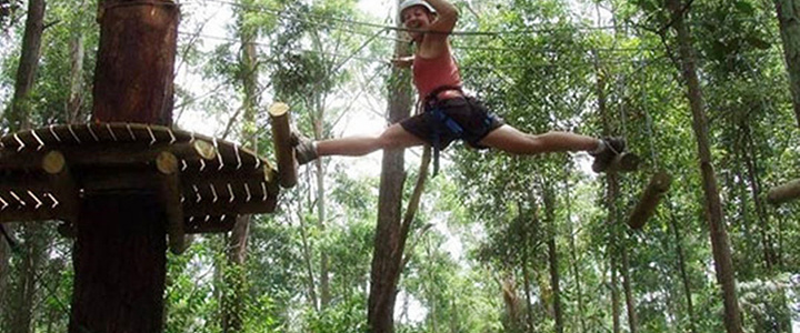 箱根 丛林探险 去哪儿网旅游攻略