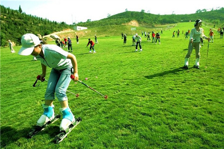 覆卮山度假村滑草场