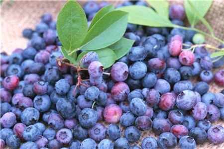 千岛湖进贤湾豪华游艇
