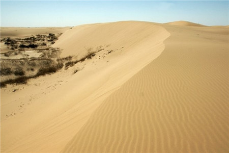 塔敏查干沙漠旅游景区