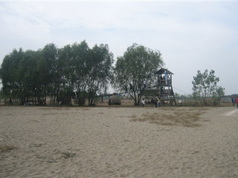 八卦洲沙漠风情园旅游景点图片