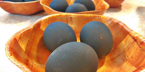 黑鸡蛋