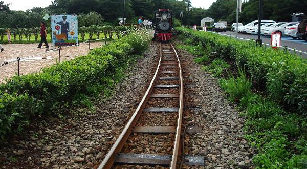 济州森林小火车生态公园