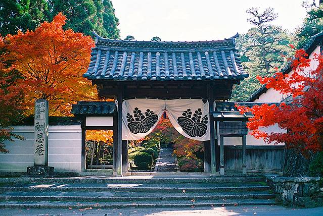 酬恩庵 (一休寺)