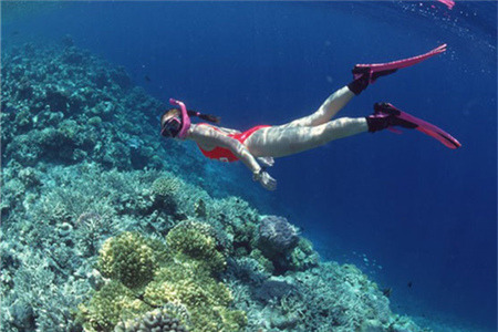 青岛极地欢乐剧场潜水体验