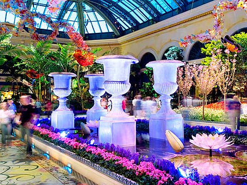 22贝拉吉欧温室植物园 旅游攻略 门票 地址 问答 游记点评 拉斯维加斯旅游旅游景点推荐 去哪儿攻略