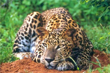 乌达瓦勒韦国家公园