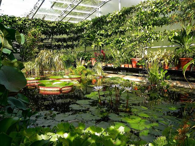 牛津大学植物园