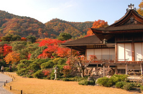 岚电岚山站 足汤