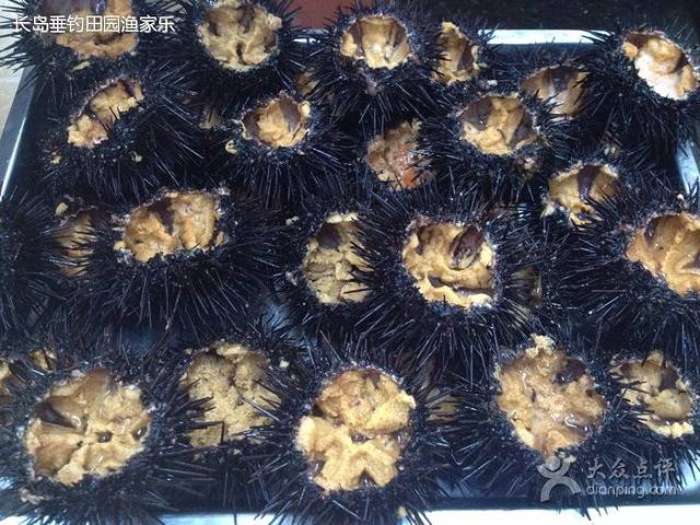 垂钓田园渔家乐