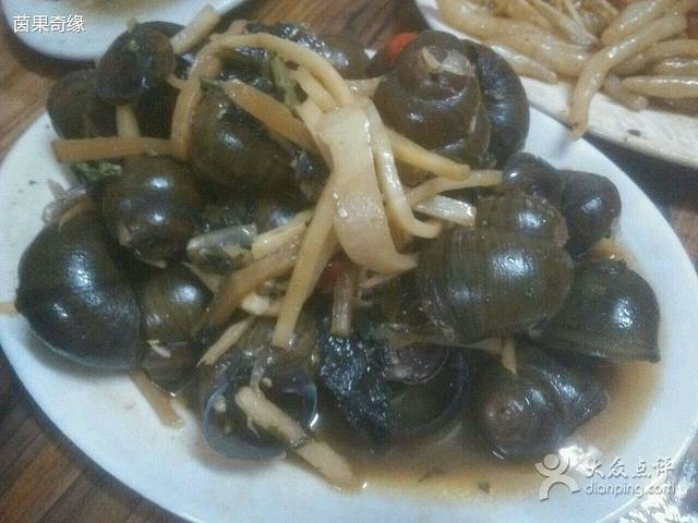 君记特色沙煲螺