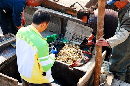 西海滩路海鲜卖场