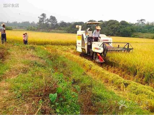 荔林食店(西华路店)