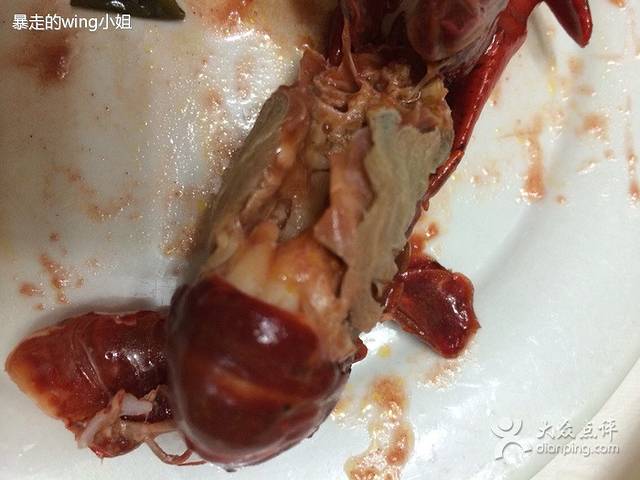 邵伯红鼻子龙虾