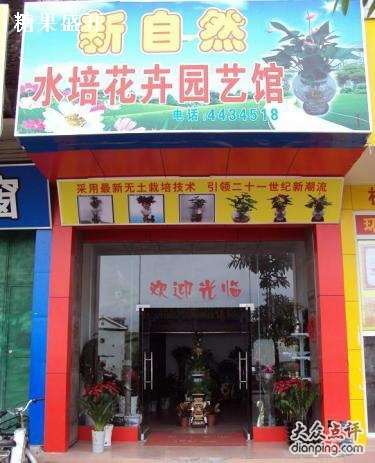 新自然水培花园