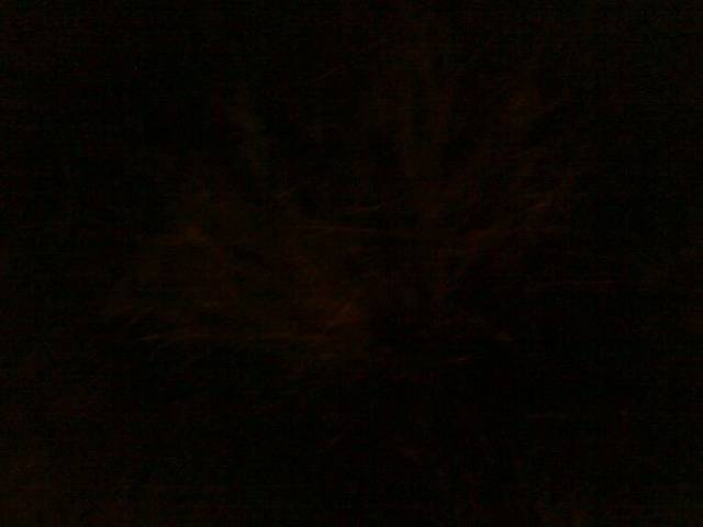 天天商场(陈村店)