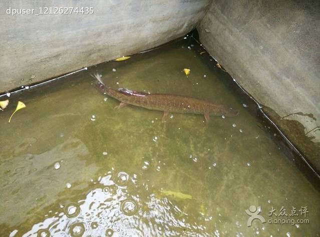 沂乡酒家(秀水唐郡小区店)