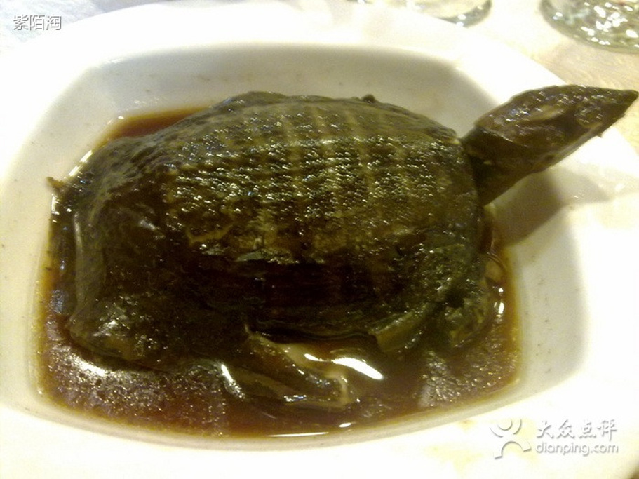 香粤紫金城酒楼(河西店)