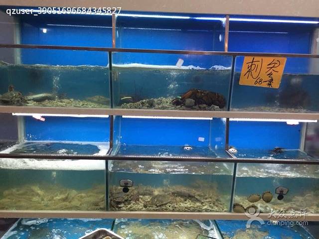 温州海鲜阁(东新路店)