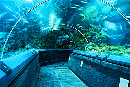 上海长风海洋世界