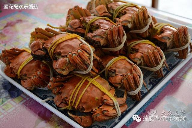 欢乐蟹庄·精品农家乐(阳澄湖莲花岛店)