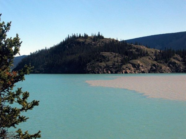 洛东江入海口生态中心