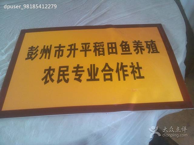 韩家厨房稻田鱼