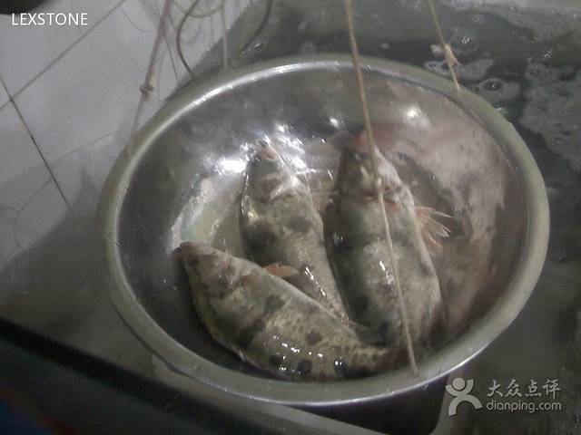 岩泊渡桂鱼楼活鱼馆