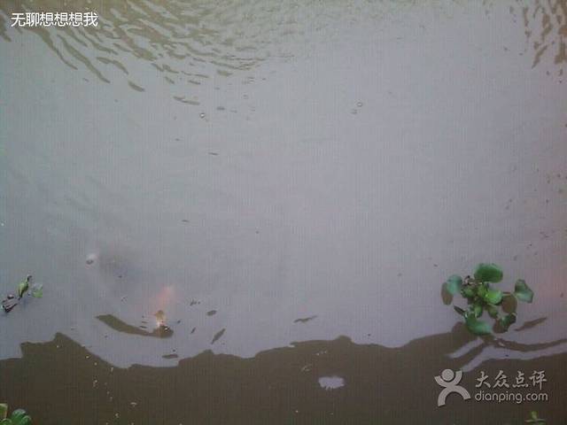 沙僚海鲜酒家·喜宴