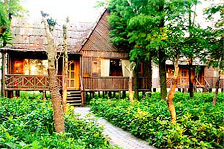 大千天鹅湖庄园