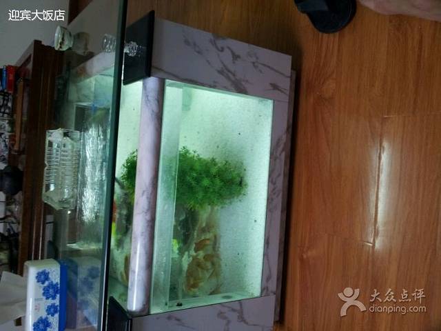 阿凡达家俱生活馆