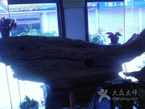 山东省临朐奇石市场(新华路店)旅游景点图片