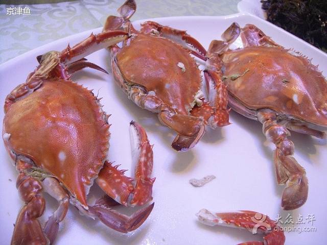 老船长海鲜·胶东菜鲁菜(会展东路店)